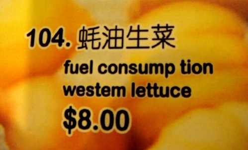 Chinees vertaalbureau - chinglish 047