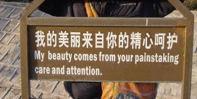 Chinees vertaalbureau - chinglish 182